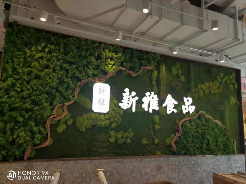 新雅食品绿植背景墙